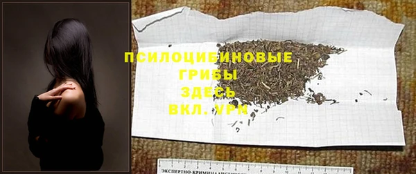 СК Кинешма